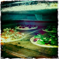 163777_175521349149892_4267056_n-1